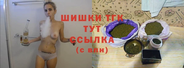 ешки Аркадак