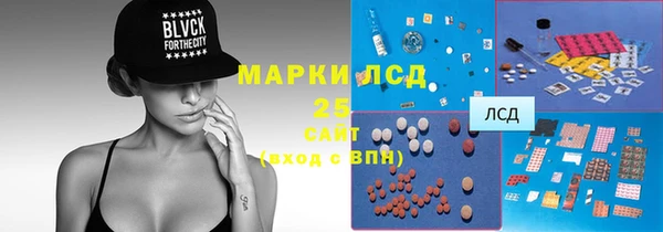 ешки Аркадак