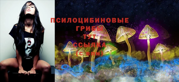 ешки Аркадак