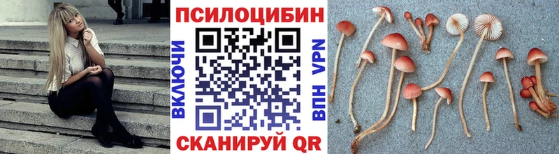 площадка Telegram  Мензелинск  Псилоцибиновые грибы GOLDEN TEACHER 