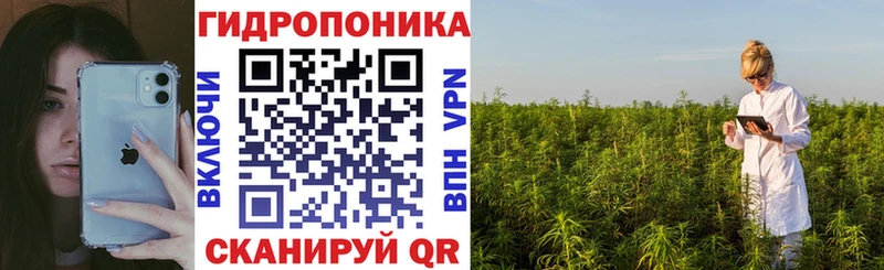 Каннабис ГИДРОПОН  Мензелинск 